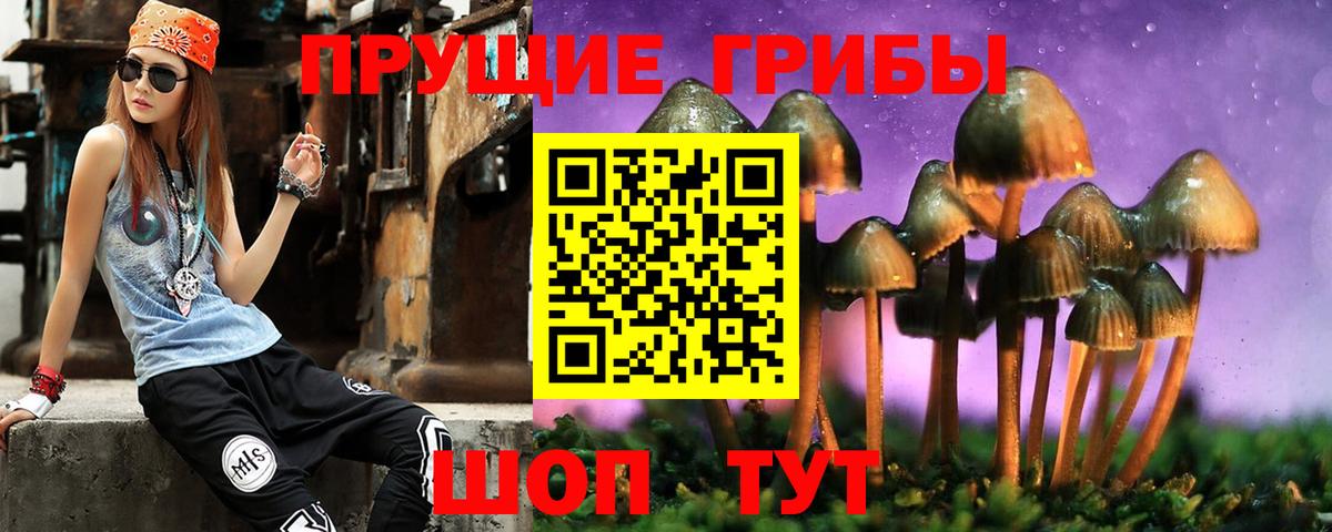 Галлюциногенные грибы мицелий  Вход с VPN  Дубна  Галлюциногенные грибы Magic Shrooms 