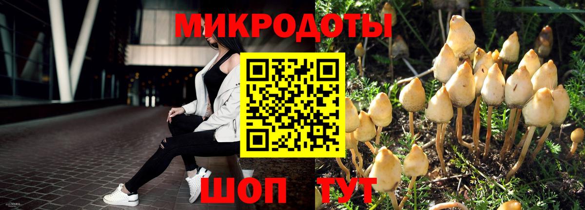 Галлюциногенные грибы Magic Shrooms Дубна